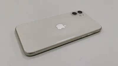 Месяц с iPhone 11: вся правда о камере – Москва 24, 12.11.2019