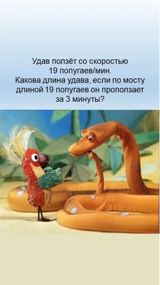 38 попугаев - Vilki Books