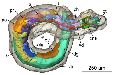 3D reconstruction - Wikipedia