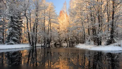 SpashScreen - Широкоформатные обои и заставки на рабочий стол - замерзшее  озеро иней на деревьях зима 3840х2160 4к скачать