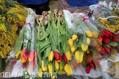 8 Марта - чудесный женский праздник Красоты, Весны и Любви! •  Благотворительная организация Апельсин