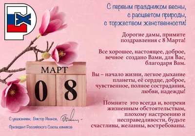 Masa Media | Как поздравить с 8 марта и не облажаться - Издание о политике,  правах и законах Казахстана