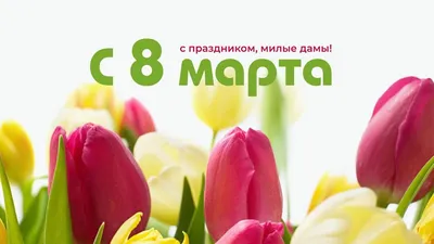 Открытки на 8 марта / Международный Женский День, 5 штук, набор №1 - купить  с доставкой в интернет-магазине OZON (465016810)