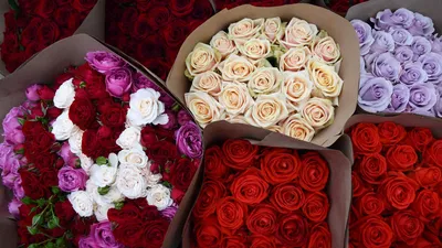 Красные розы на 8 марта в коробке в форме сердца | Fleur st valentin, Roses  valentine, Saint valentin