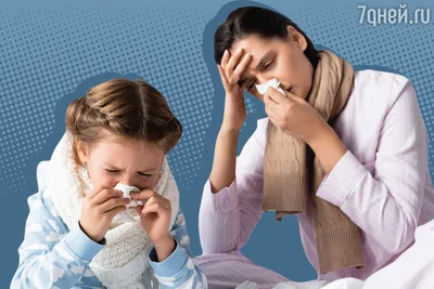 Не хлюпай носом! Как лечить насморк у взрослых и детей - 7Дней.ру