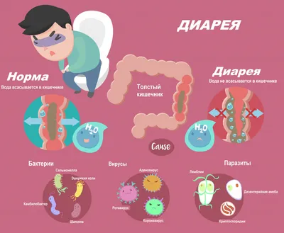 Куда в организме попадает аденовирус вакцины AstraZeneca: исследование у  человека и мышей - новости Украины, Общество - LIGA.net
