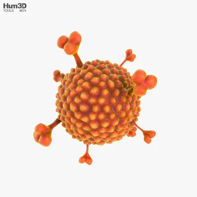 Аденовирус 3D модель - Хобби и Быт на Hum3D