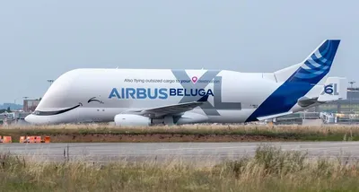 Some Interesting Facts About The Huge Whale-Shaped Airbus Beluga