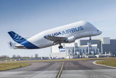 Airbus to rent out its giant Beluga aircraft in bet on air cargo boom