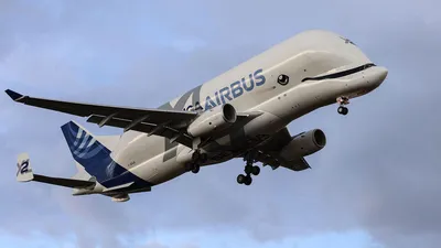 Airbus rolls out sixth and final BelugaXL transport | News | Flight Global