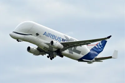 The Final Airbus Beluga XL Is Ready For Takeoff