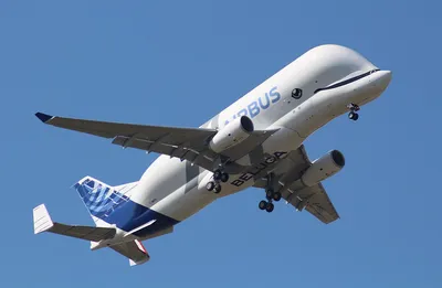 Airbus to create own airline to rent out whale plane | Reuters