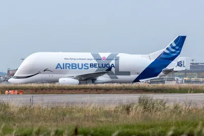 Airbus Beluga XL Transport Aircraft - Aerospace Technology