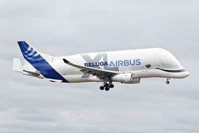 AIRBUS BELUGA XL LANDING and Departure - THE FLYING WHALE (4K) - YouTube