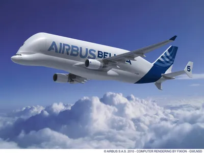 This Airbus plane looks like Beluga whale; get more details here -  BusinessToday