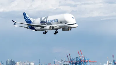 Airbus unveils sixth and final Beluga XL with special livery - Air Data News