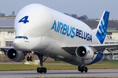 Airbus launches cargo airline with whale-shaped super transporter -  FreightWaves