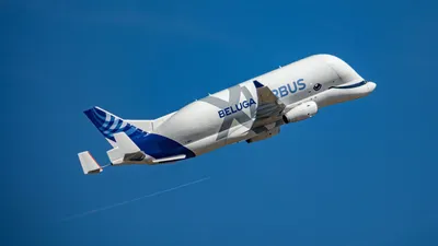 Airbus Beluga Aircraft - Free photo on Pixabay - Pixabay