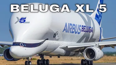 Airbus Beluga | Pilot Training Flight Simulator Wiki | Fandom