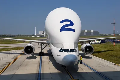 Airbus' strange-looking Beluga aircraft turns 20