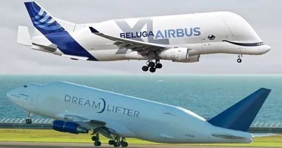 Why Has Airbus Built The BelugaXL Aircraft Type?