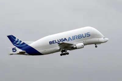 Прилёт Airbus Beluga в Россию | Пикабу