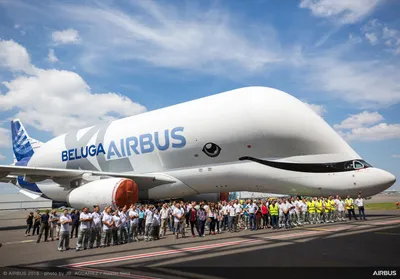 Some Interesting Facts About The Huge Whale-Shaped Airbus Beluga