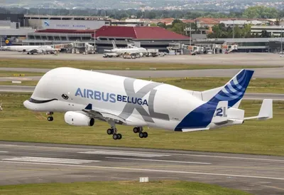 Explore the Airbus Beluga - SamChui.com