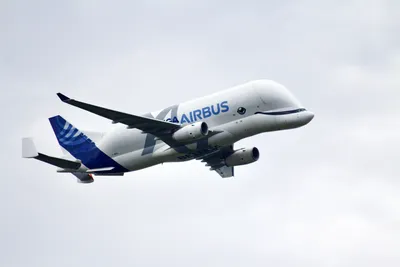 Airbus «Beluga XL» поднимается в небо | Мир