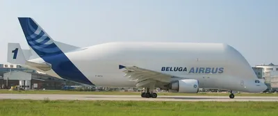 Exclusive AIRBUS BELUGA XL tour | You won't believe what this plane has  inside it - YouTube