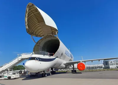 Airbus' Beluga Embraces New Role as Independent Airline