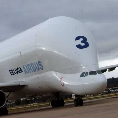 Final Airbus Beluga XL Performs 1st Flight | CAA