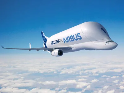 Airbus Beluga - Download Free 3D model by bohmerang (@bohmerang) [29ae25e]