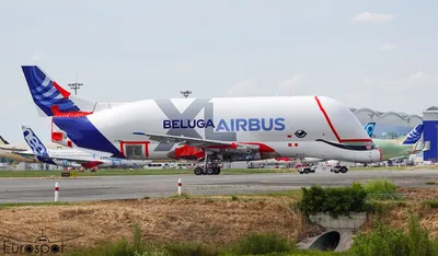 Airbus Launches Cargo Airline With Beluga Fleet | Aviation International  News