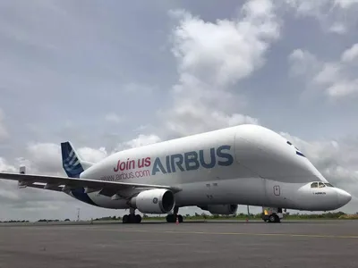 Beluga activity buoyant as Airbus offers fleet for outsize transport | News  | Flight Global