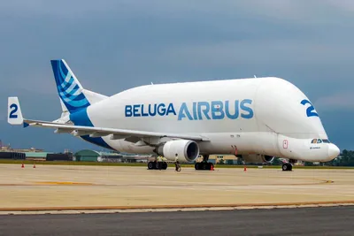 Aviation Updates Philippines - #AUPNewsBites: The Airbus A300-608ST,  affectionately known as the Beluga, made a historic landing at Clark  International Airport on Thursday evening during a scheduled technical  stop. READ THE STORY: