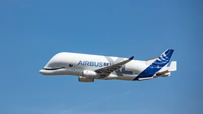 Airbus Beluga — Википедия