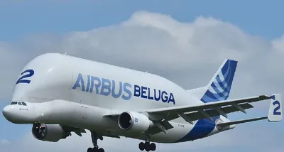 Airbus Beluga solves \"Achilles heel\" to dispute cargo with Antonov - Air  Data News