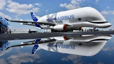 Just an Airbus Beluga XL : r/flightradar24