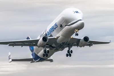 Airbus Beluga XL Transport Aircraft - Aerospace Technology