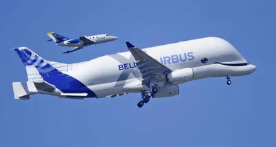 Airbus Beluga and Beluga XL Super Transporters