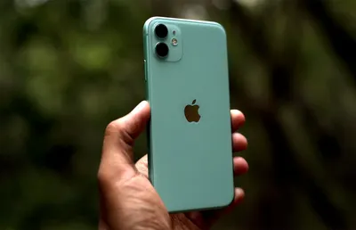 В России распродали все iPhone 11 зеленого и фиолетового цветов | Югополис