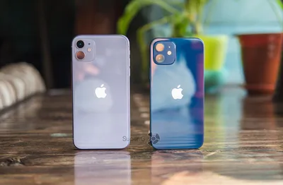 Сравнение камеры iPhone 12 и iPhone 11 — насколько новинка лучше снимает -  Super G