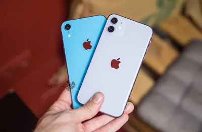 Сравнение iPhone 11 и iPhone XR - обзор и отличия двух смартфонов - Super G
