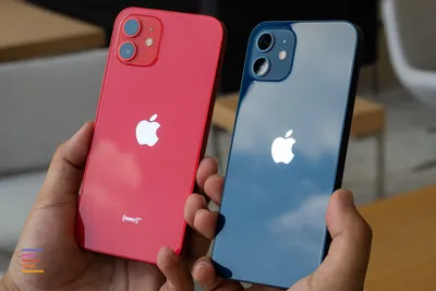 Включённые iPhone 12 и iPhone 12 Pro во всех цветах под разными углами. 20  фото в