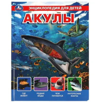 Мягкая игрушка Акула KiDWoW подушка обнимашка для девочек, мальчиков,  малышей, детей, в подарок, для сна (серый / 85) - купить с доставкой по  выгодным ценам в интернет-магазине OZON (600849895)