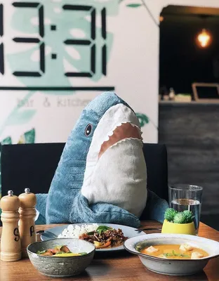 IKEA Sharks can be found all around the world | Shark plush, Shark meme,  Cute shark