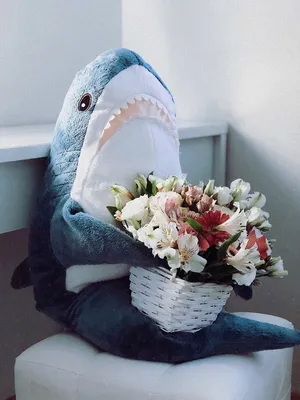 ikea #shark #акула #игрушки #икея | Wallpaper iphone cute, Cute shark,  Shark plush