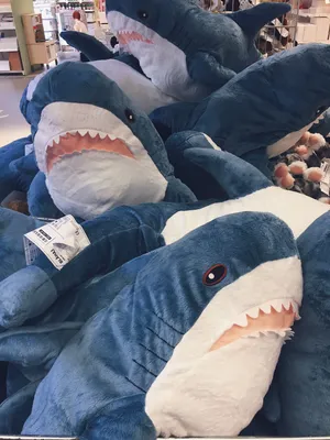 Пин от пользователя home for the soul 🌟 на доске shark [IKEA] | Синяя акула,  Мем акула, Акулье искусство