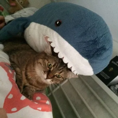 IKEA Released An Adorable Plush Shark And People Are Losing Their Minds  Over It | Bored Panda